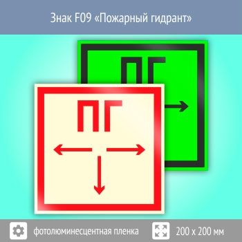 ���� F09 ��������� ������� (������������������ ������, 200�200 ��)