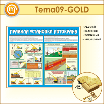 ����� �������� ��������� ���������� (TM-09-GOLD)