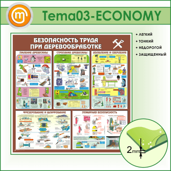Стенд «Безопасность труда при деревообработке» (TM-03-ECONOMY)