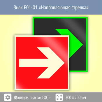 ���� F01-01 ������������� ������� (������������������ ������� ���� 34428-2018, 200�200 ��)