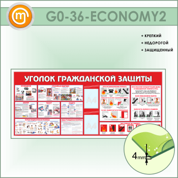 ����� ������� ����������� ������� c 2 ��������� (GO-36-ECONOMY2)