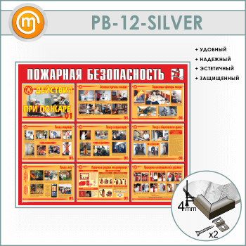 ����� ��������� ������������. �������� ��� ������ (PB-12-SILVER)