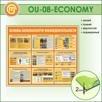 ����� ������� ������������ ����������������� (OU-08-ECONOMY)