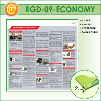 ����� �������� ���������� �������� (RGD-09-ECONOMY)
