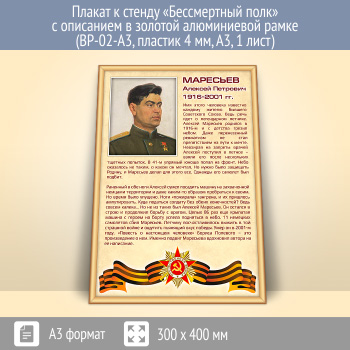 ������ � ������ ������������ ���� � ��������� � ������� (�������) ����������� ����� (BP-02-A3, ������� 4 ��, �3, 1 ����)