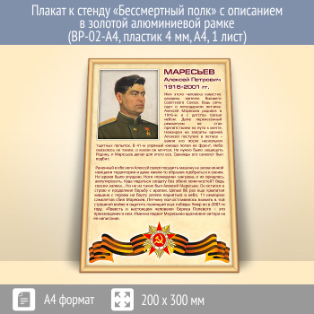 ������ � ������ ������������ ���� � ��������� � ������� (�������) ����������� ����� (BP-02-A4, ������� 4 ��, �4, 1 ����)