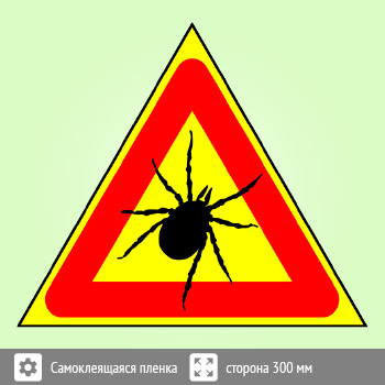 ���� �������! �����, B100