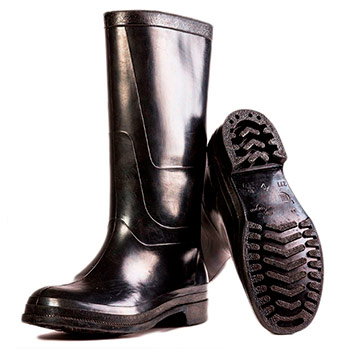 ������ ��������� �������� (277-43 ������)