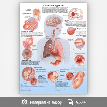 Плакат «Опасность курения» (ЗОЖ-15, 1 лист)