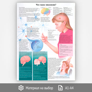 ������ ���� ����� ���������?� (���-23, 1 ����)